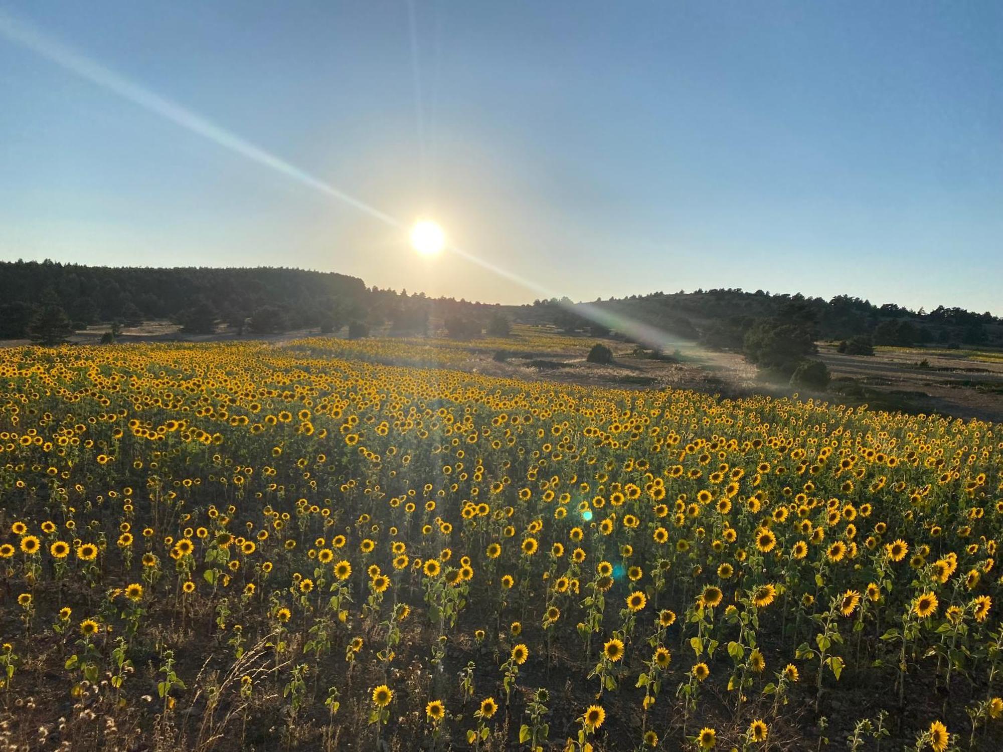 فيلا Casa Rural El Olmo Gúdar المظهر الخارجي الصورة